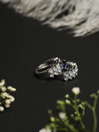 AD Double Ring