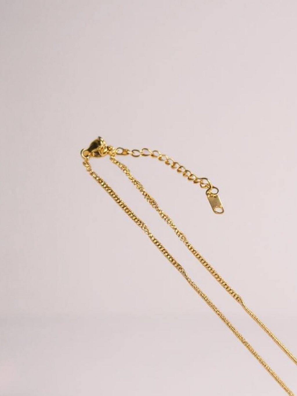 Chic Lucky Fish Charm Necklace