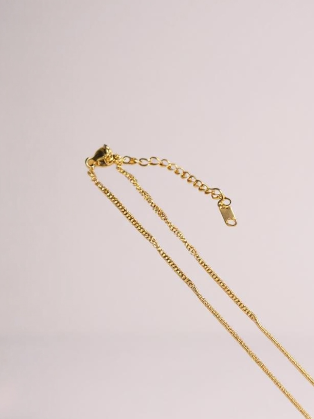 Chic Lucky Fish Charm Necklace