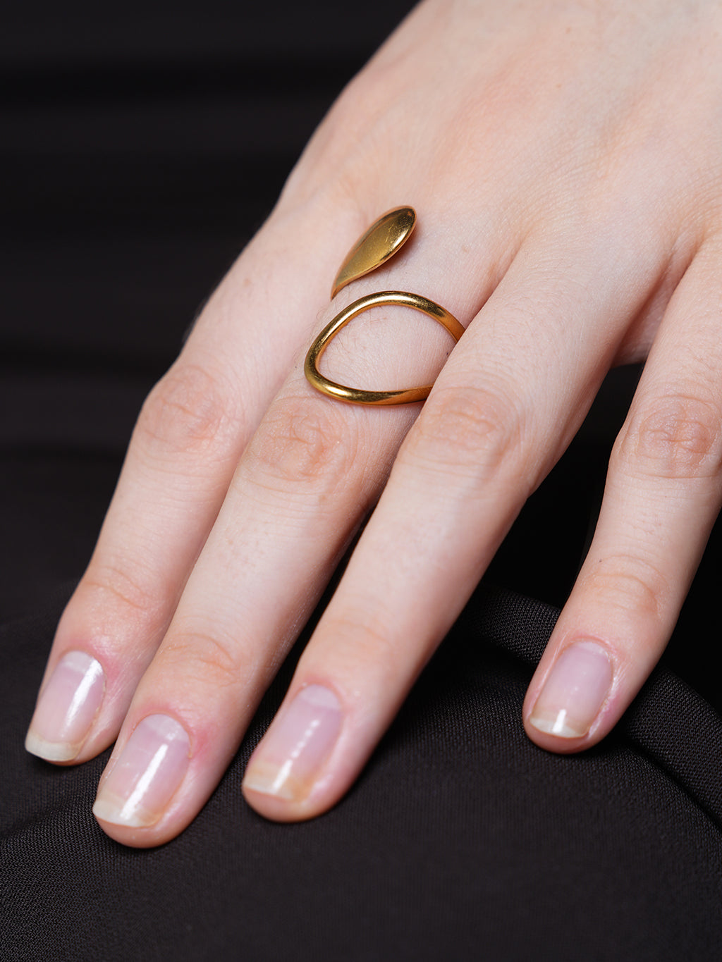 Geometric Open Ring