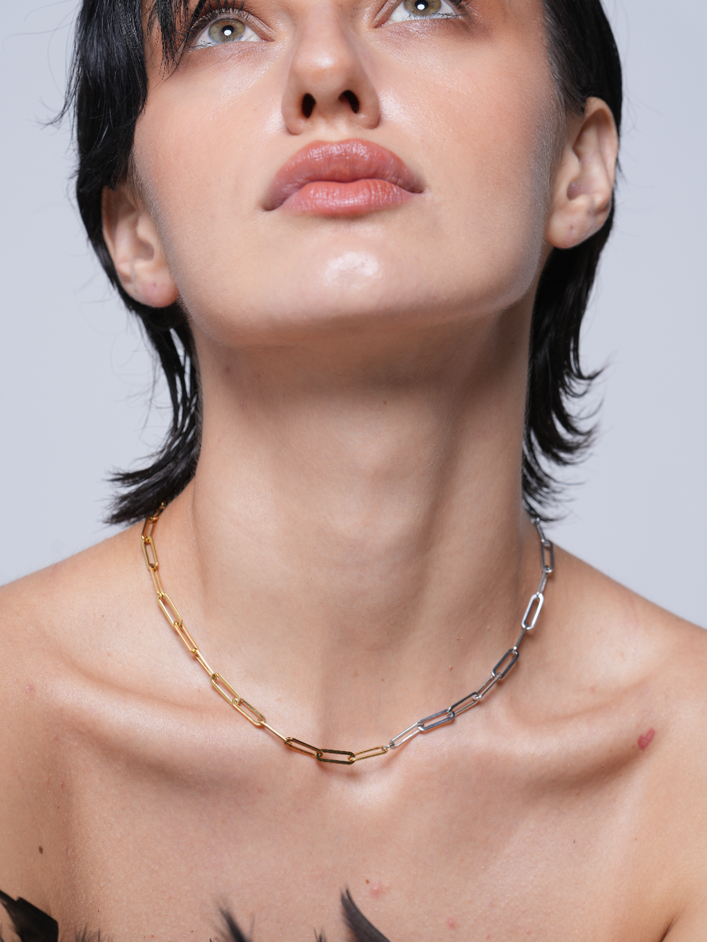 Dual Tone Paperclip Chain