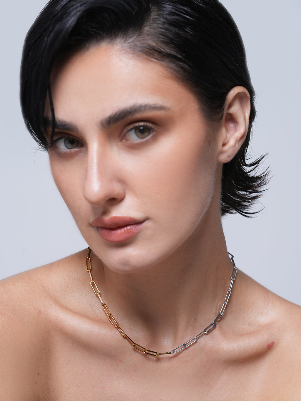 Dual Tone Paperclip Chain